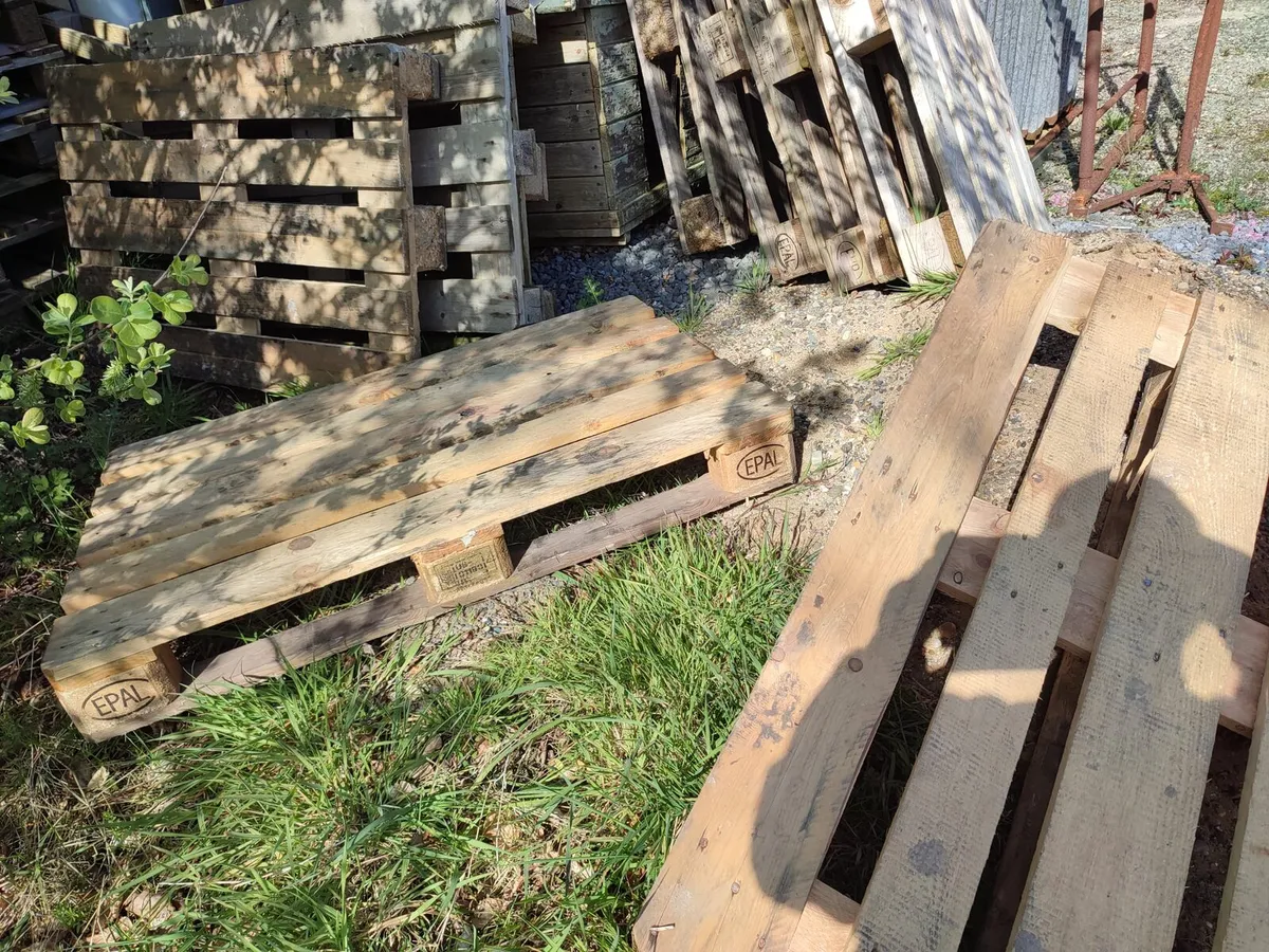 Euro Pallets - Image 2
