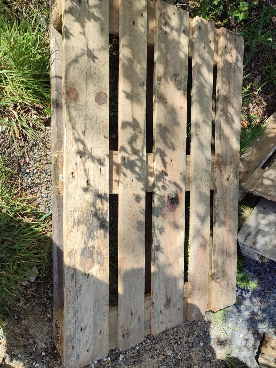 Euro Pallets - Image 4