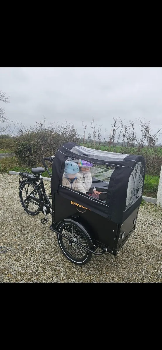 Whale electric bike