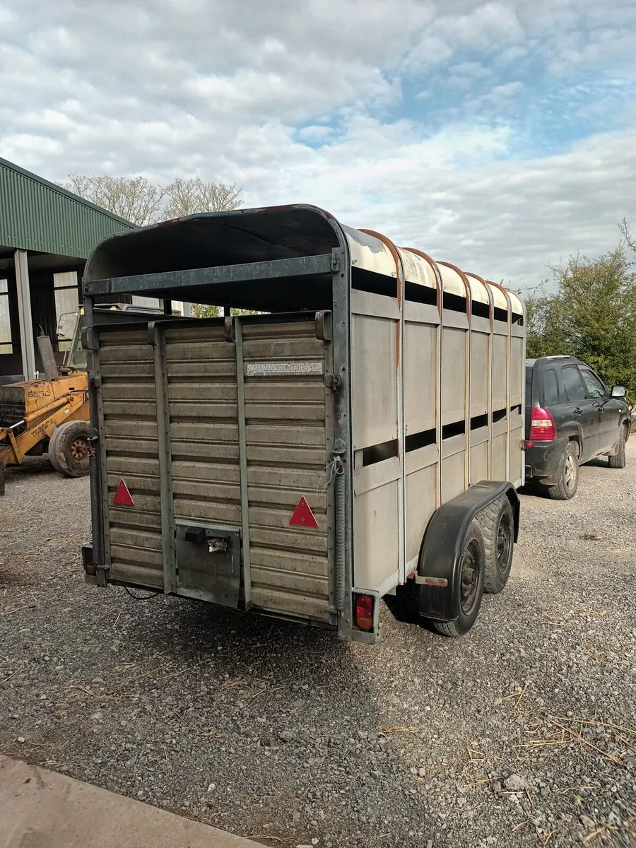 12ft x 5ft 3 Ifor Williams cattle trailer - Image 2