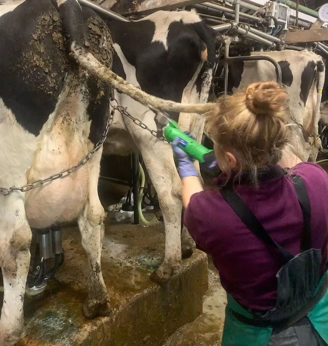 ErgoPro Cara (Battery) Sheep & Cattle Clipper - Image 3