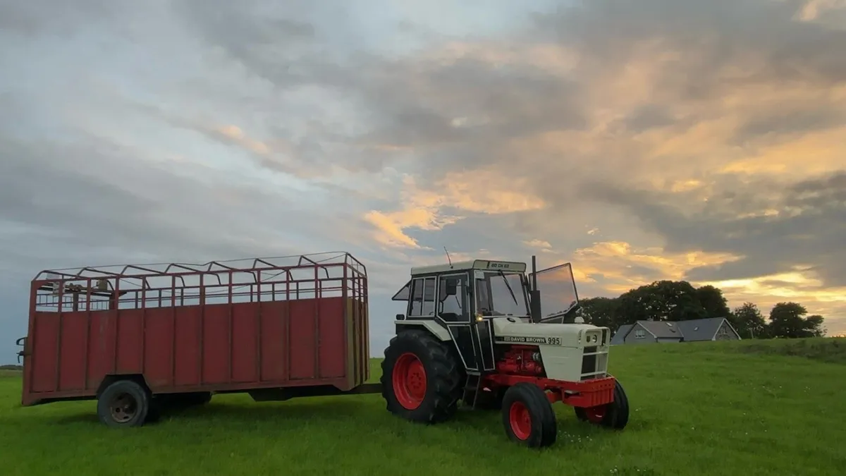 David brown 996 - Image 3