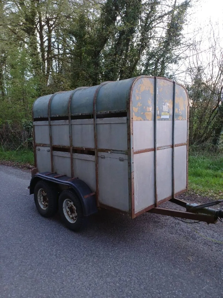 Crooks 8 x 5 cattle trailer - Image 1