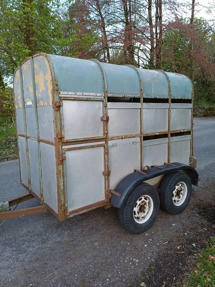 Crooks 8 x 5 cattle trailer - Image 2