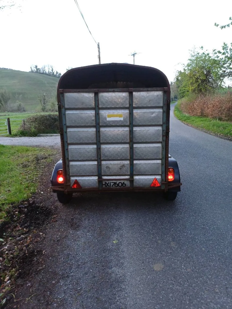 Crooks 8 x 5 cattle trailer - Image 3