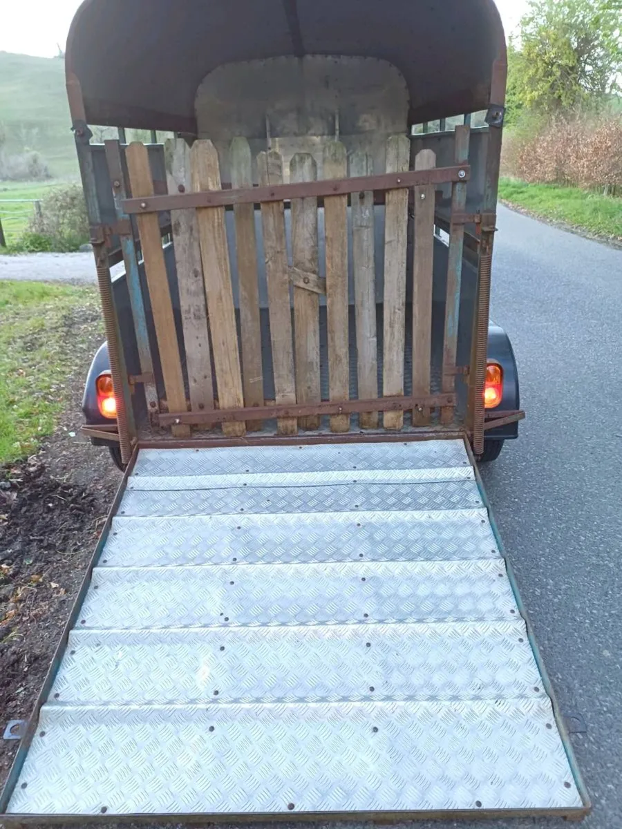Crooks 8 x 5 cattle trailer - Image 4