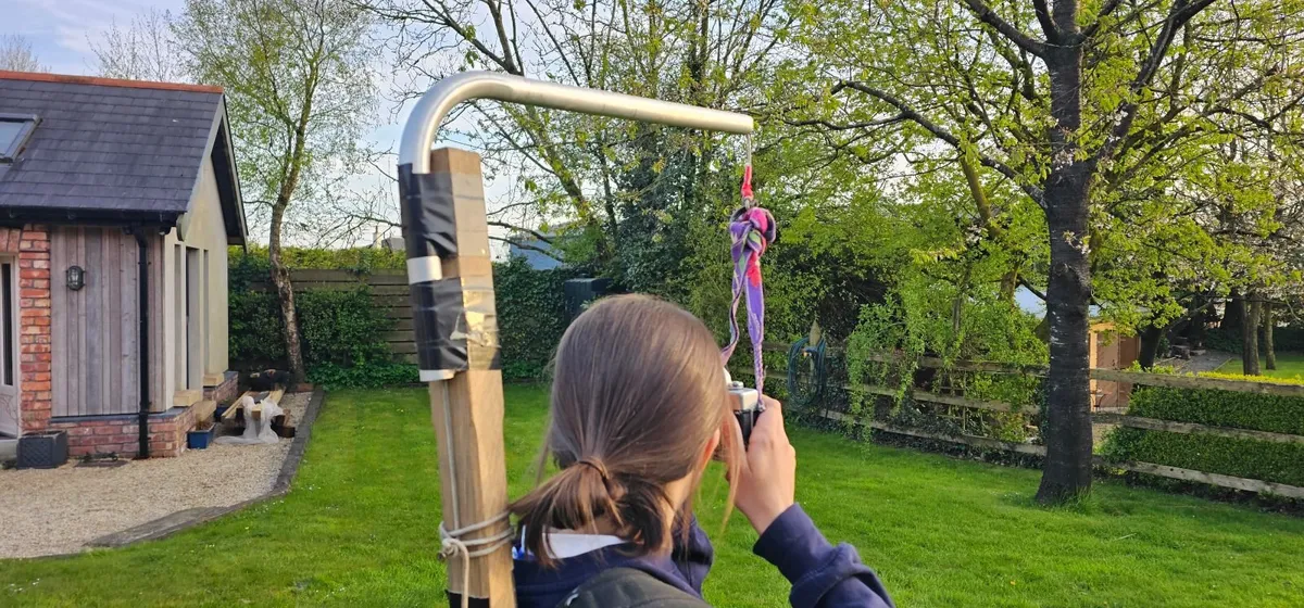 The NormanCrane - Image 2