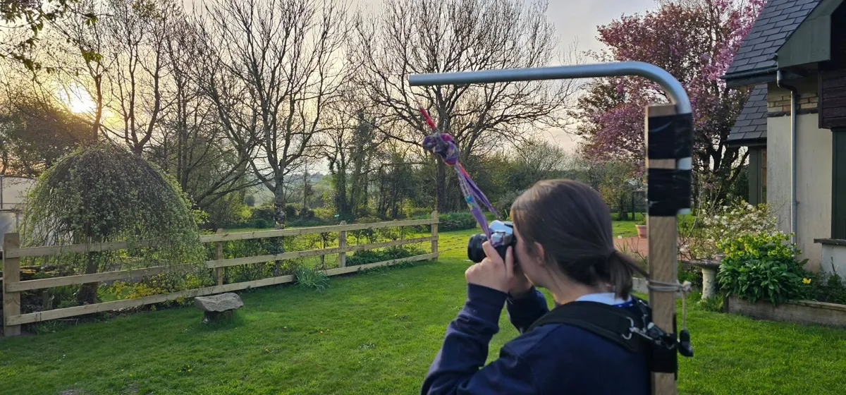 The NormanCrane - Image 4