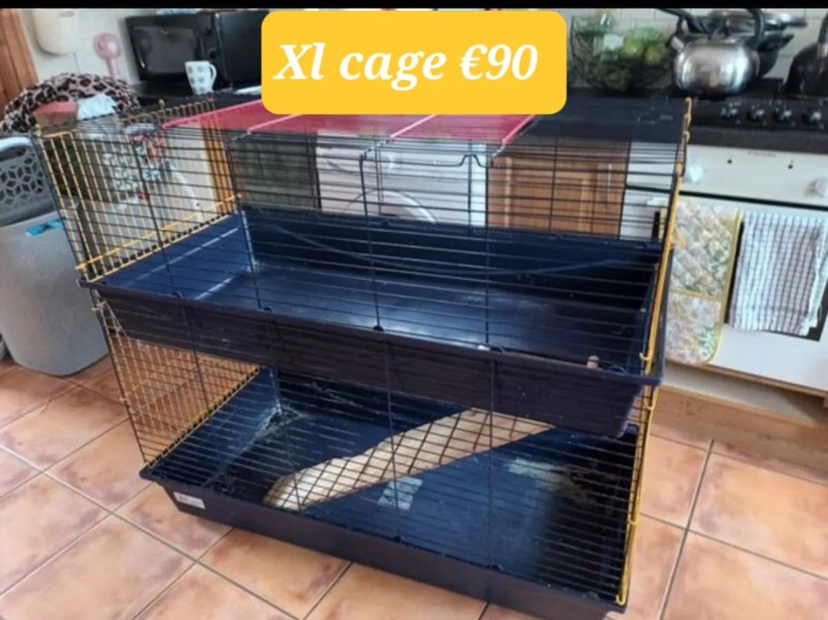 Cages - Image 1