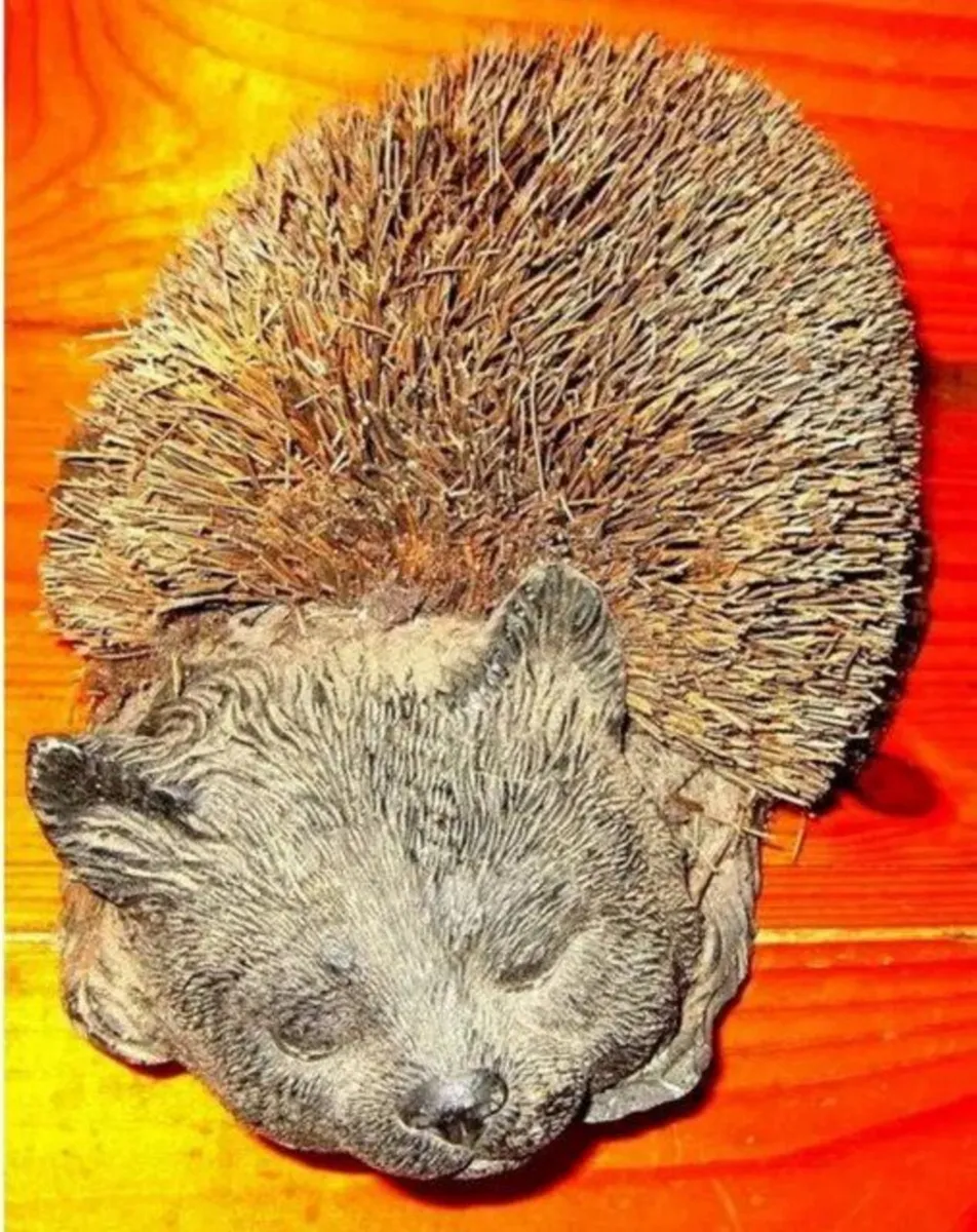 Vintage Boot Brush - Image 4