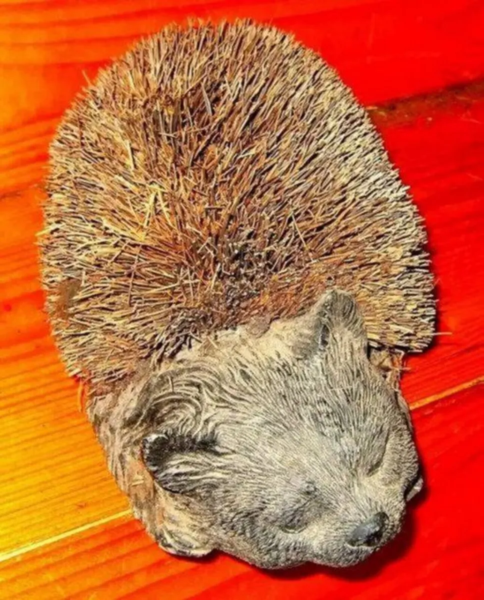 Vintage Boot Brush - Image 3