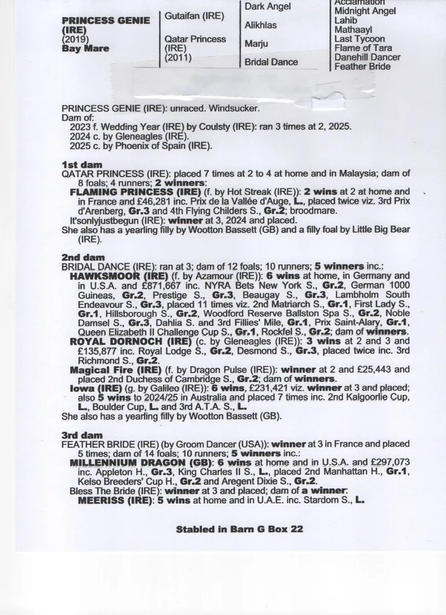 Broodmare for sale - Image 2