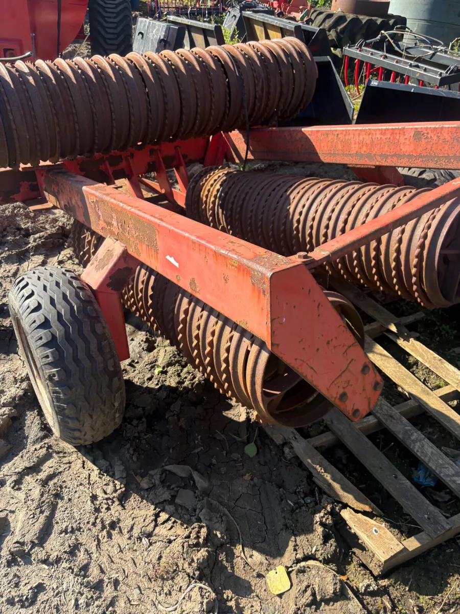 Cambridge roller - Image 2