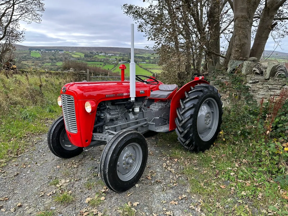 Massey Ferguson 35x - Image 2