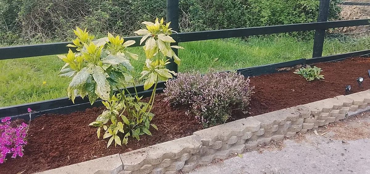 Top Quality Organic Compost in Bags - Image 1