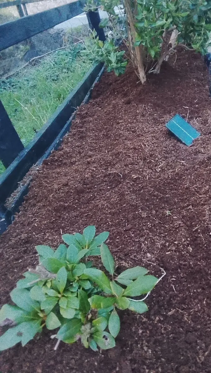 Top Quality Organic Compost in Bags - Image 3