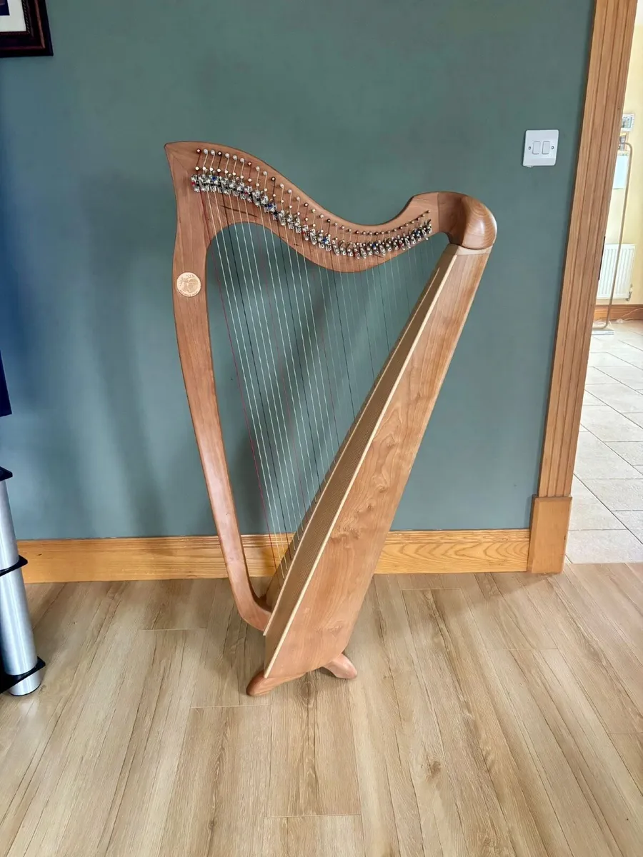 Killarney Harp - Image 1