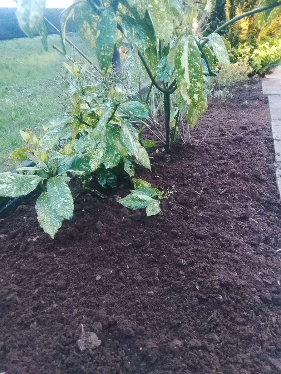 Top Quality Organic Compost in Bags - Image 2