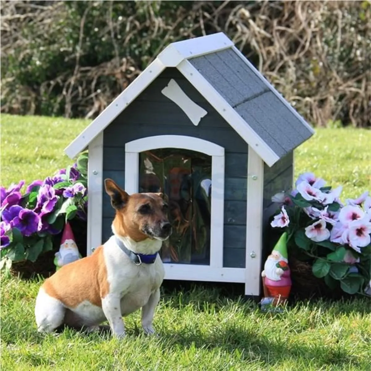 Dog Kennels - Small - Extra Large - Image 1