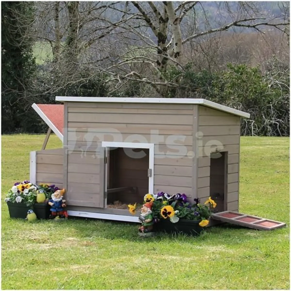 Chicken Coop - Image 2
