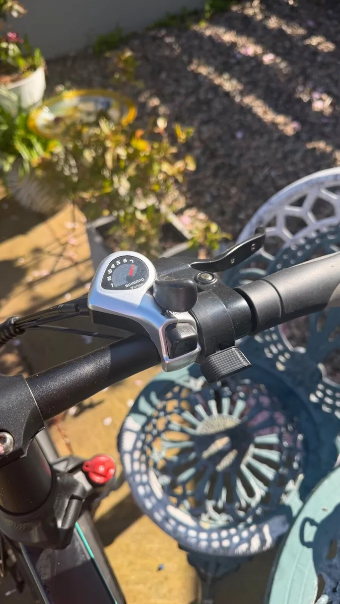 Electric bike - Image 1