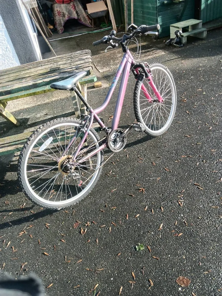 Bikes - Image 4