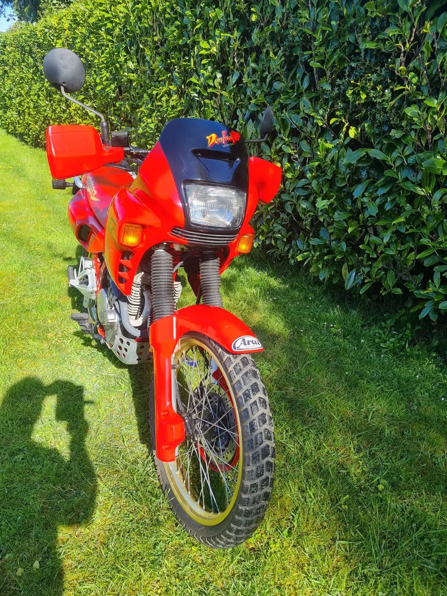 Honda Dominator 650 - Image 3
