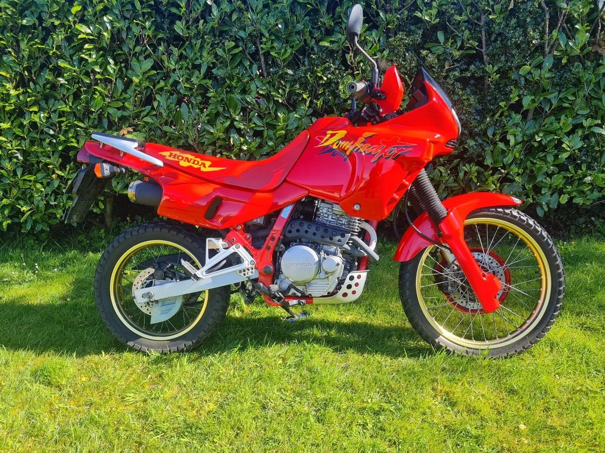 Honda Dominator 650 - Image 1