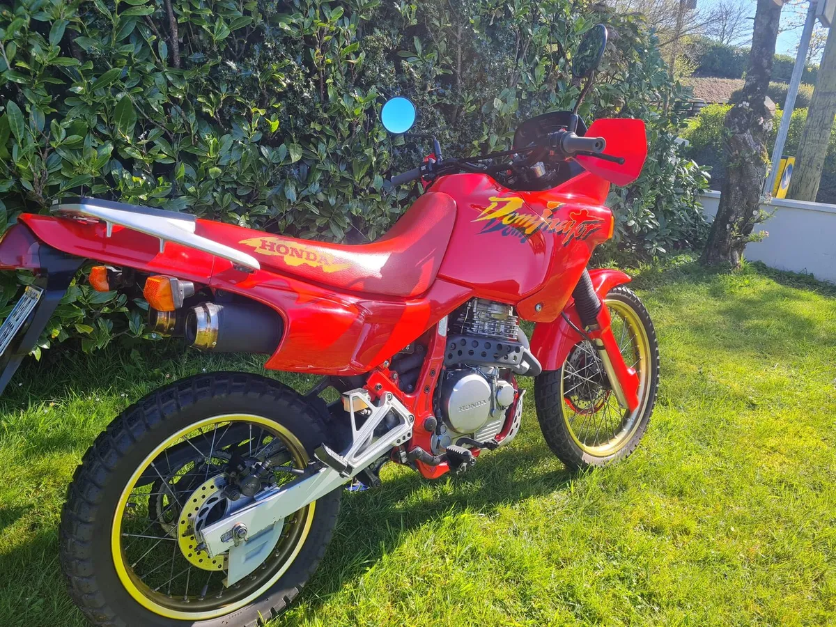 Honda Dominator 650 - Image 2