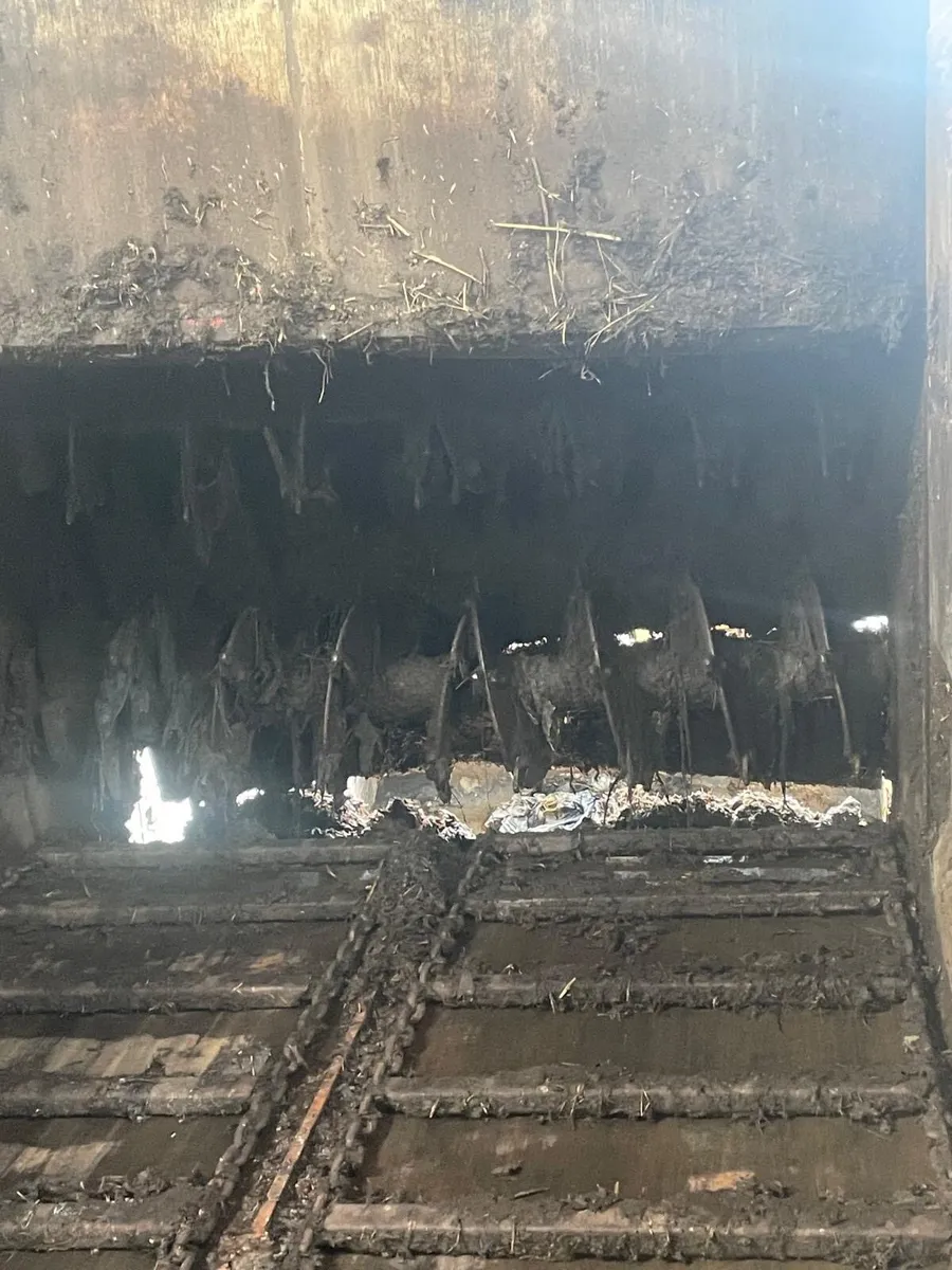 Dung spreader - Image 4