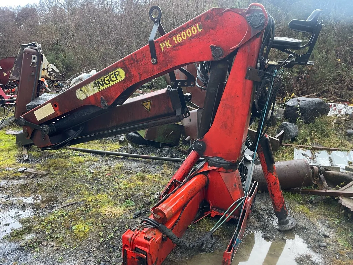 Shed Clearance - Image 4