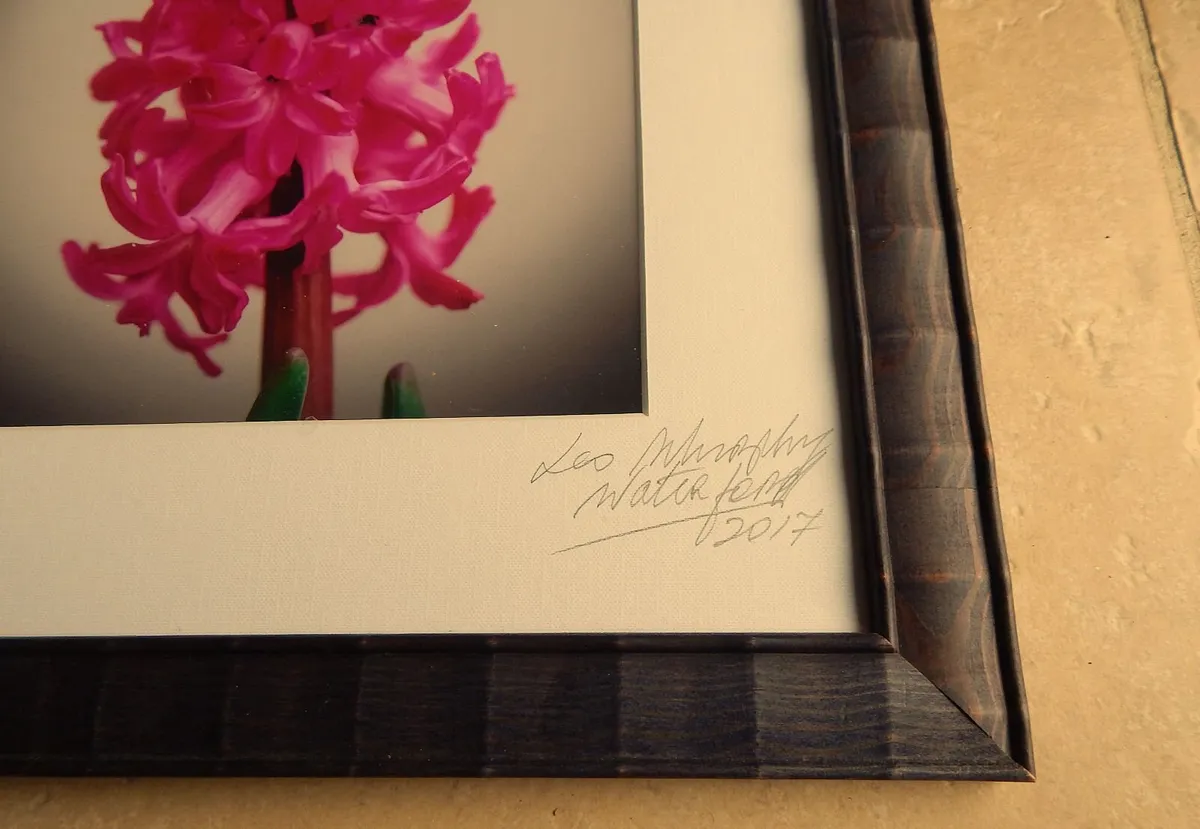 Signed Photographic Image of a Hyacinth - Image 3