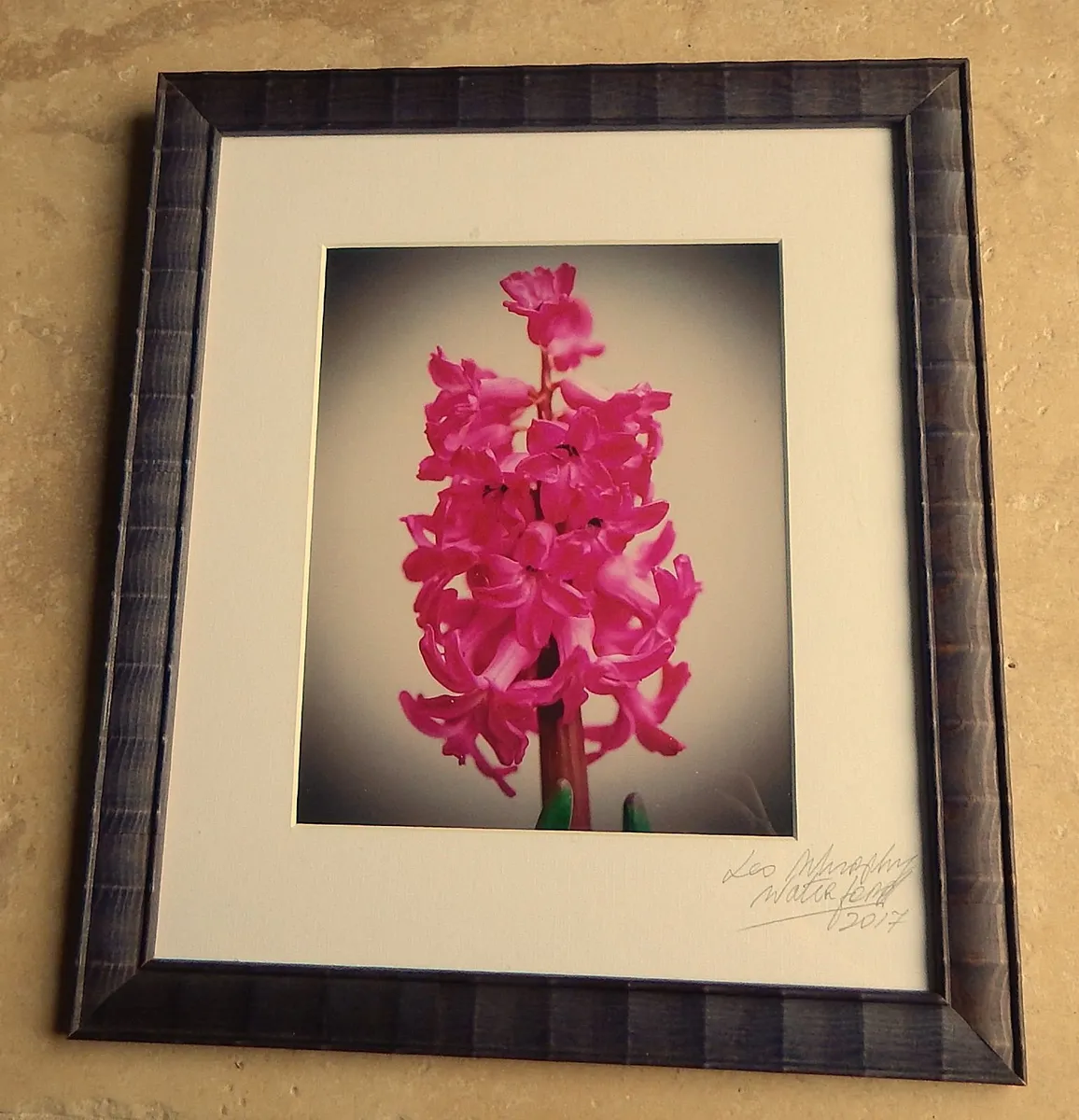 Signed Photographic Image of a Hyacinth - Image 1