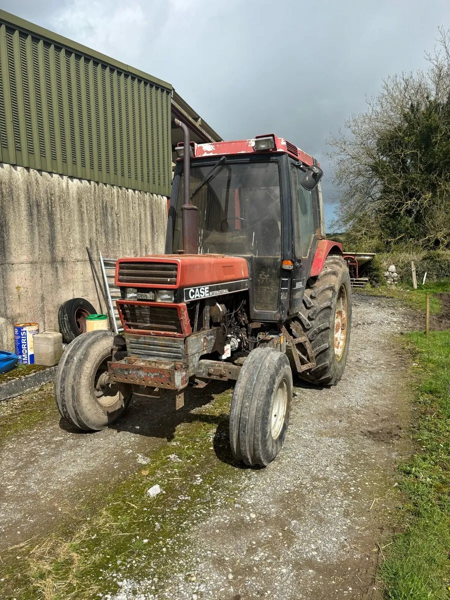 Case international - Image 1