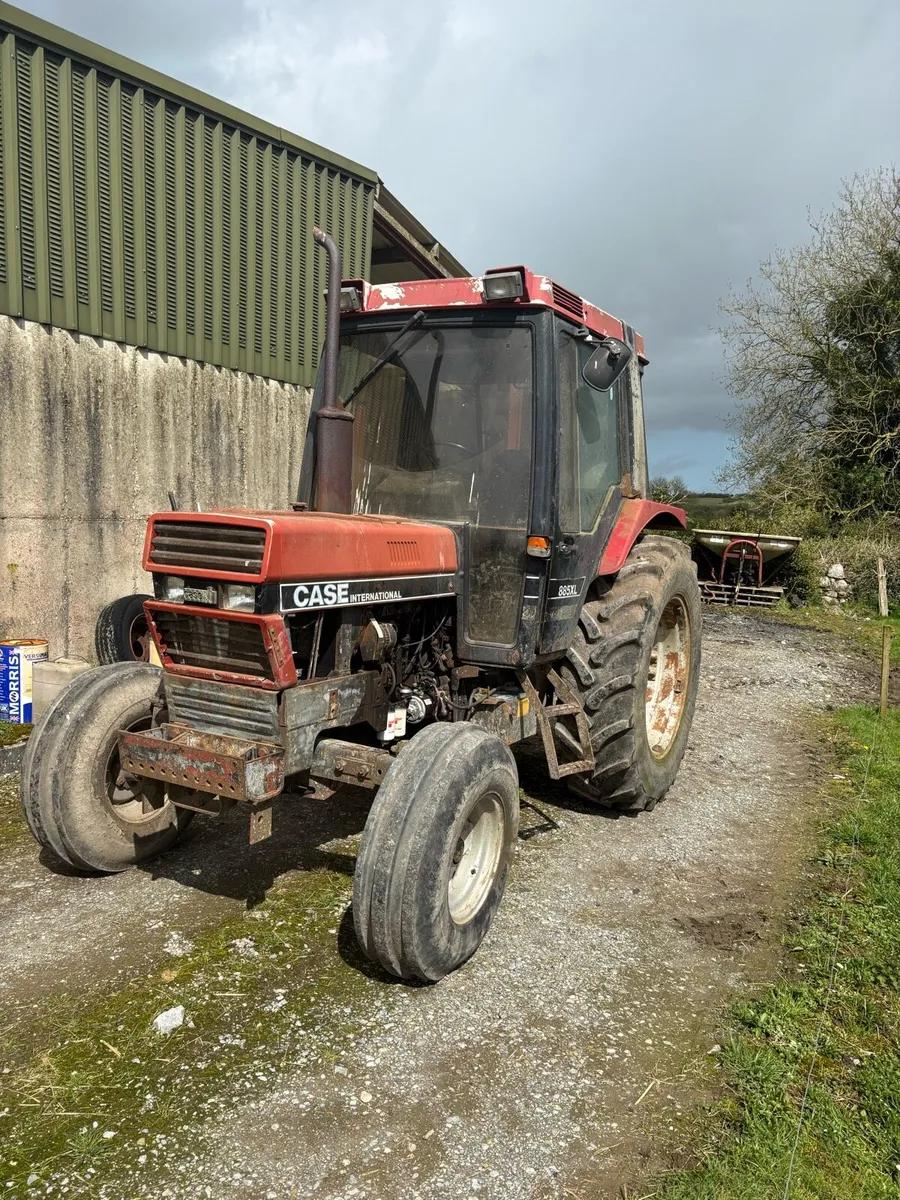 Case international - Image 2