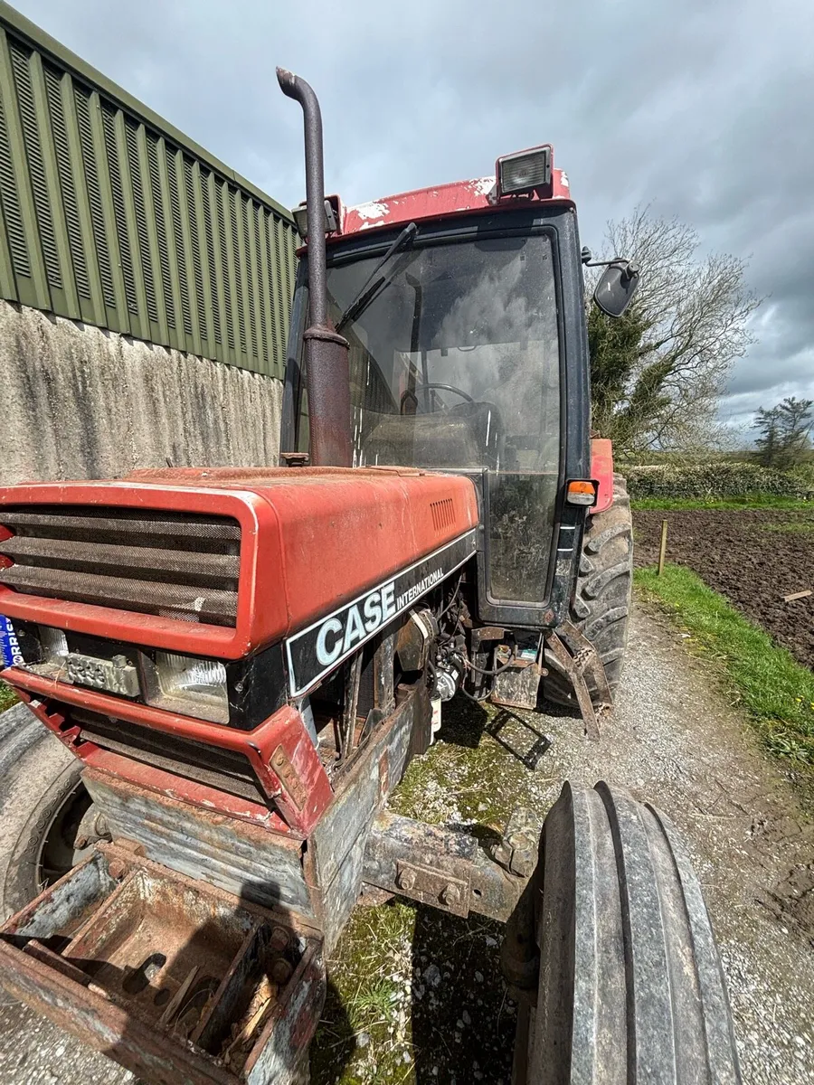 Case international - Image 3