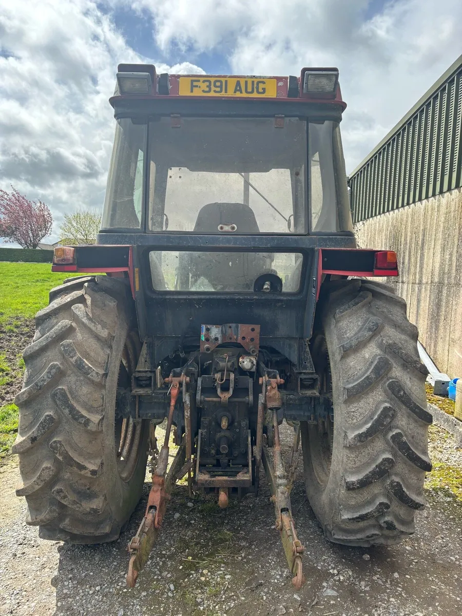 Case international - Image 4