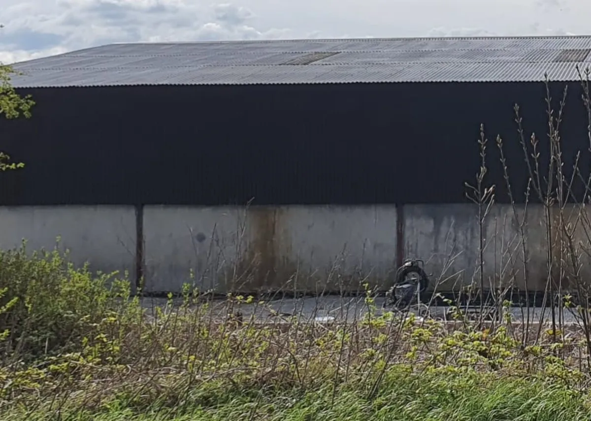 Farm Shede painting - Image 3