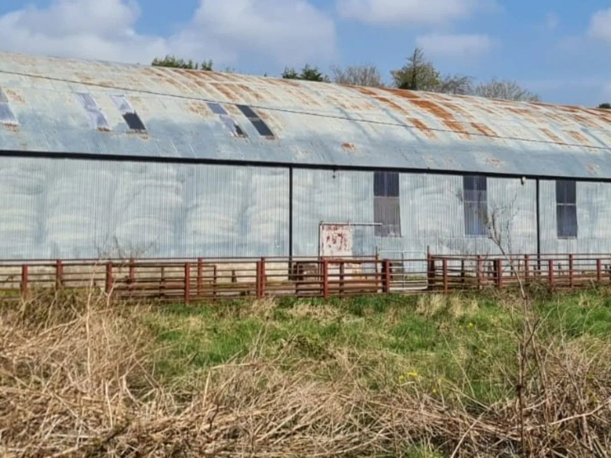 Farm Shede painting - Image 4