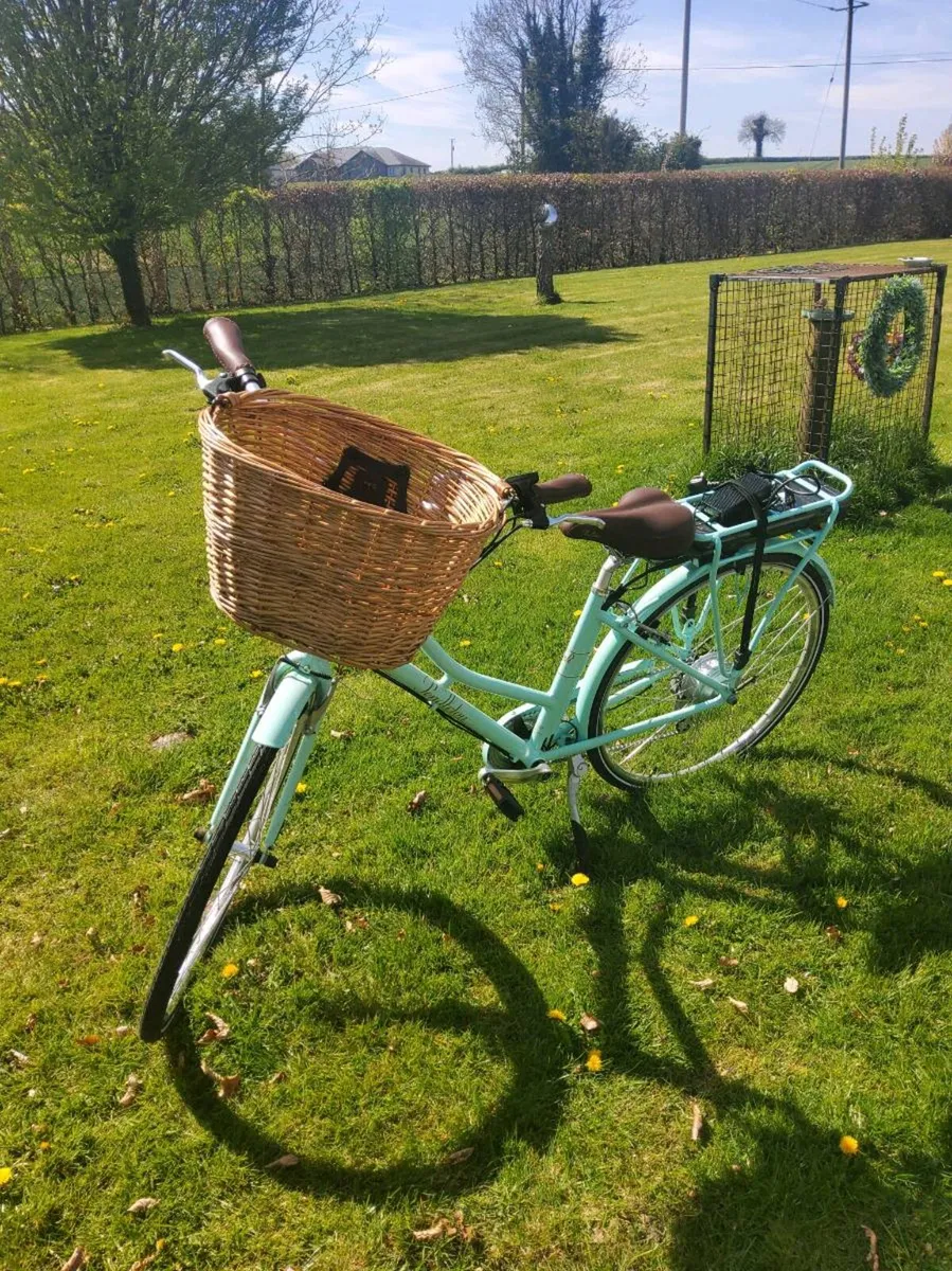 Electric bike - Image 1