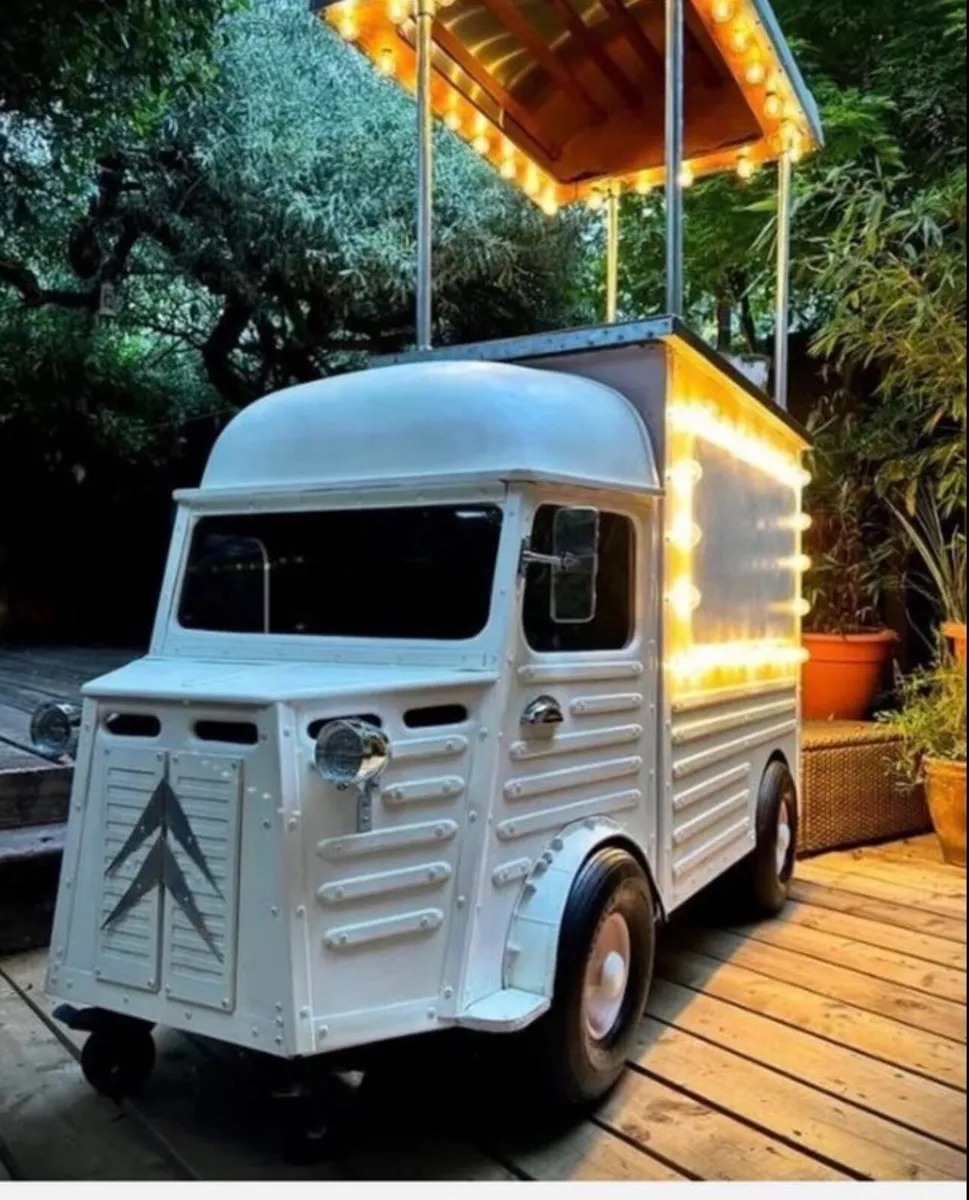 Custom built Mini H Van Trolley - Image 1