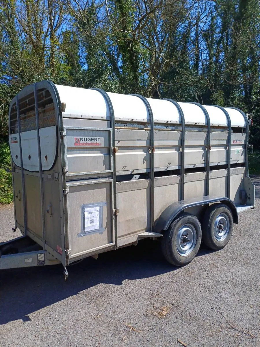 Nugent 12ft with sheep decks - Image 1