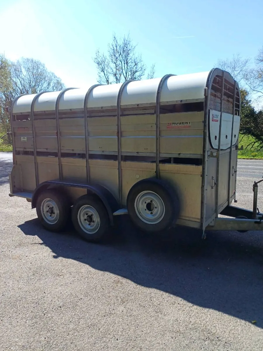 Nugent 12ft with sheep decks - Image 2