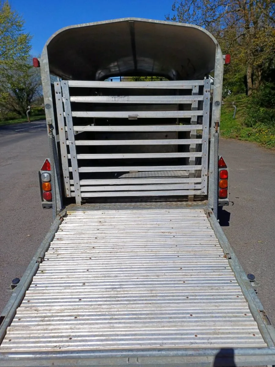 Nugent 12ft with sheep decks - Image 4