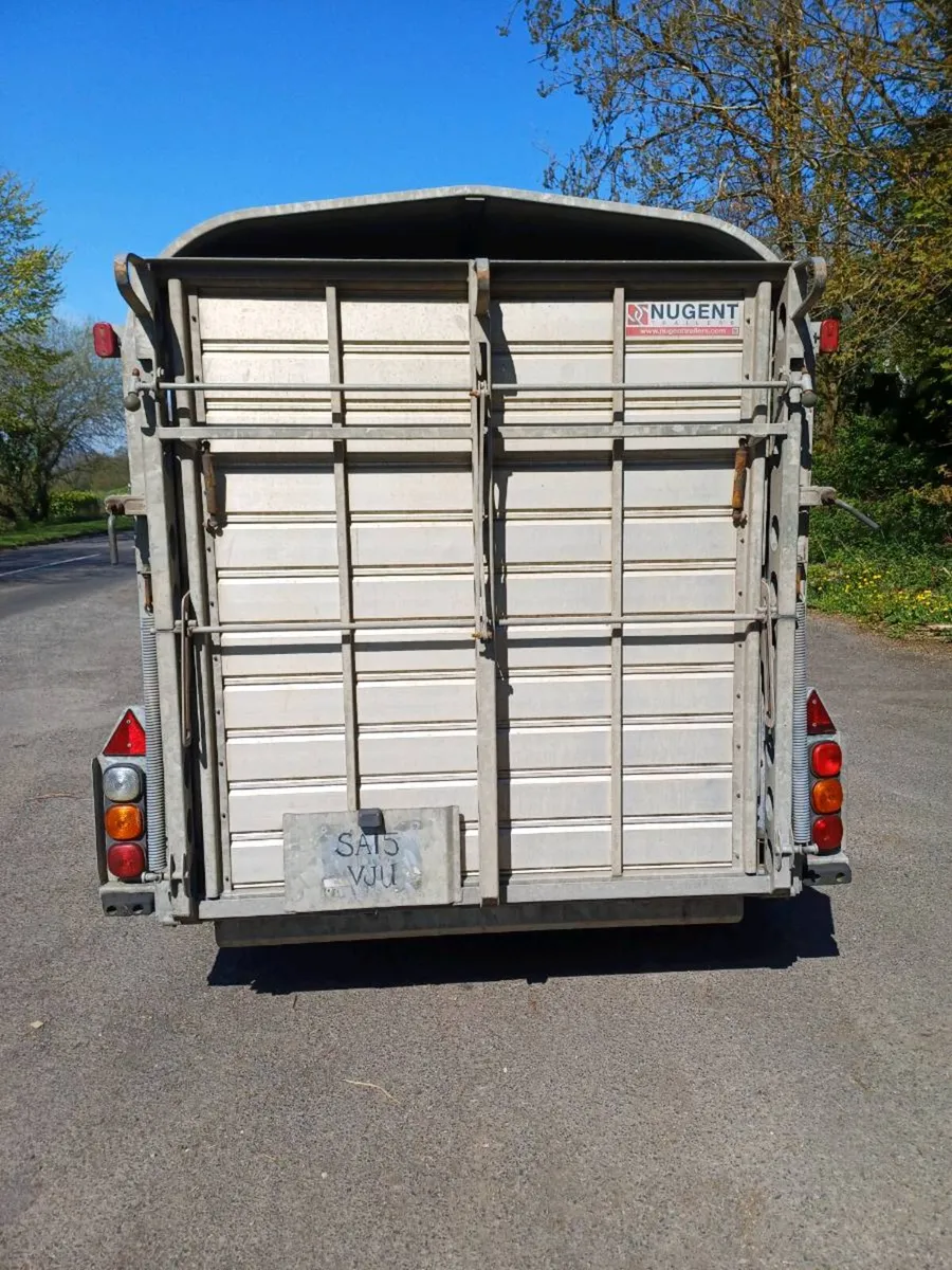 Nugent 12ft with sheep decks - Image 3