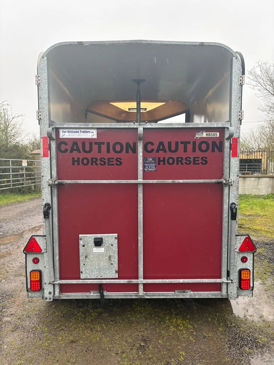 Iforwillams HB505 - Image 2