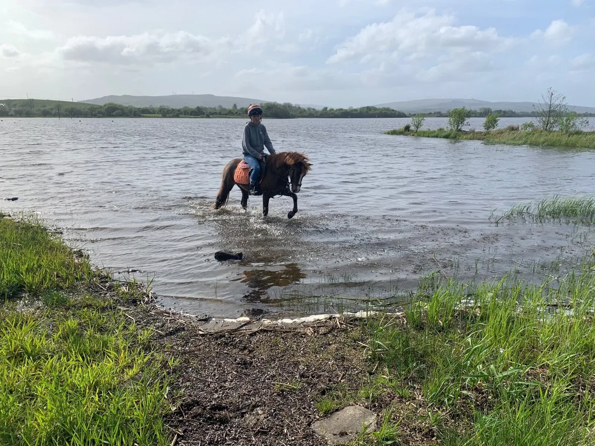 Super Fun 12.1 - Image 4