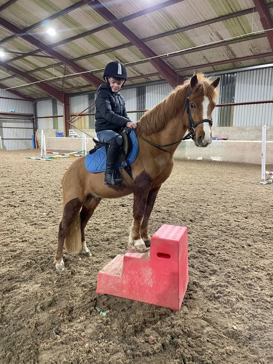 Super Fun 12.1 - Image 3