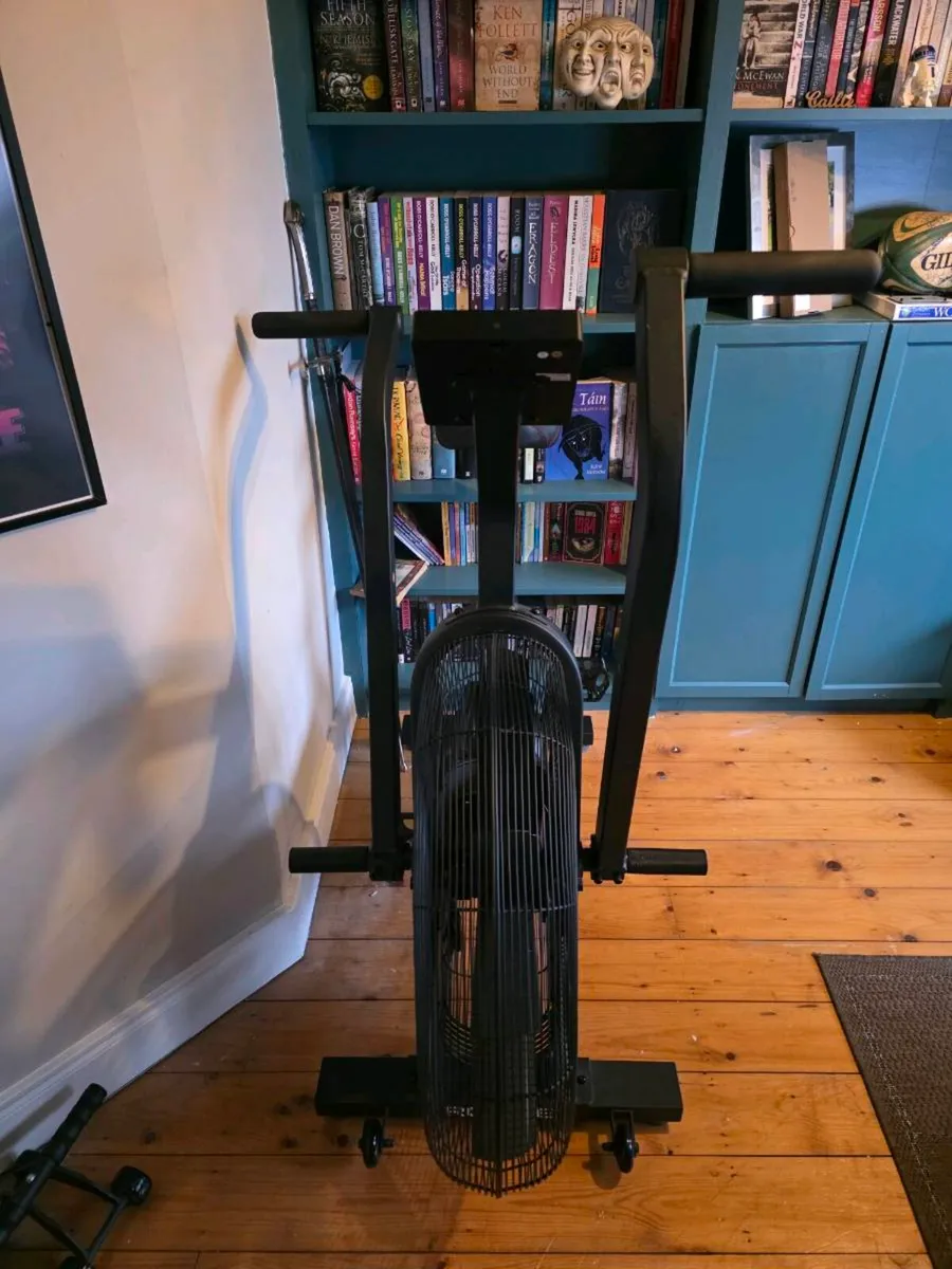 Rogue Echo Bike - Image 2