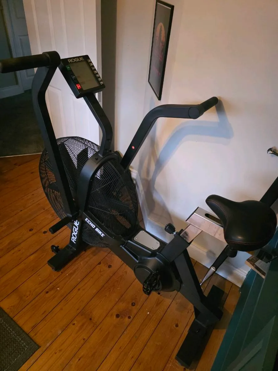 Rogue Echo Bike - Image 3